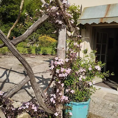 Forellenwasser Appartement Rosenthal-Bielatal