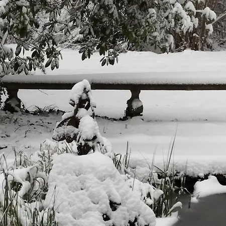 Forellenwasser Апартаменты Rosenthal-Bielatal