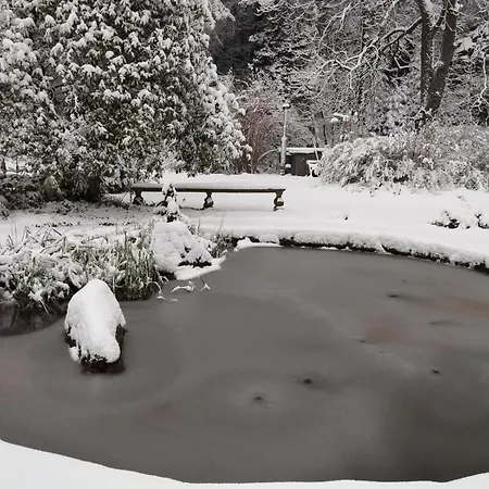 Forellenwasser * Rosenthal-Bielatal