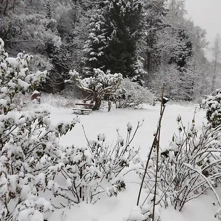 Apartmán Forellenwasser *