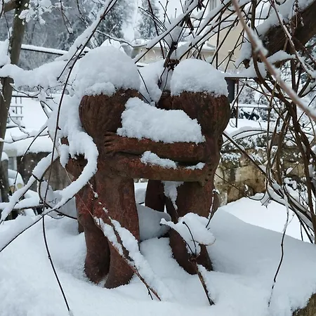 Forellenwasser Appartement