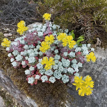 Апартаменты Forellenwasser