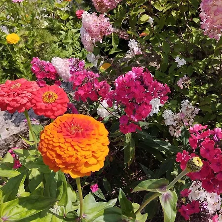 Апартаменты Forellenwasser *