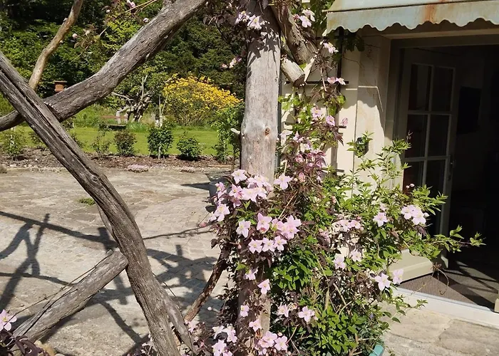 Forellenwasser Апартаменты Rosenthal-Bielatal