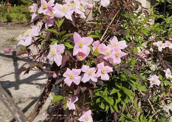 Forellenwasser Апартаменты *