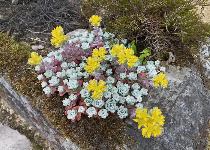 Апартаменты Forellenwasser