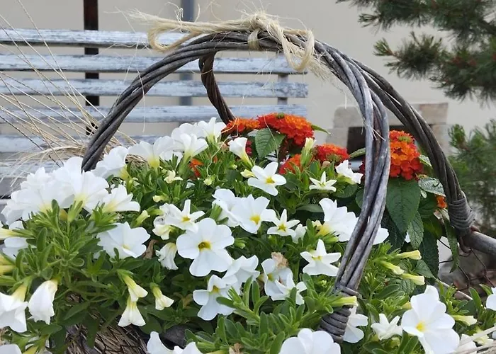 Апартаменты Forellenwasser Rosenthal-Bielatal