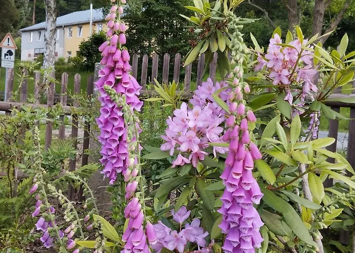 Апартаменты Forellenwasser