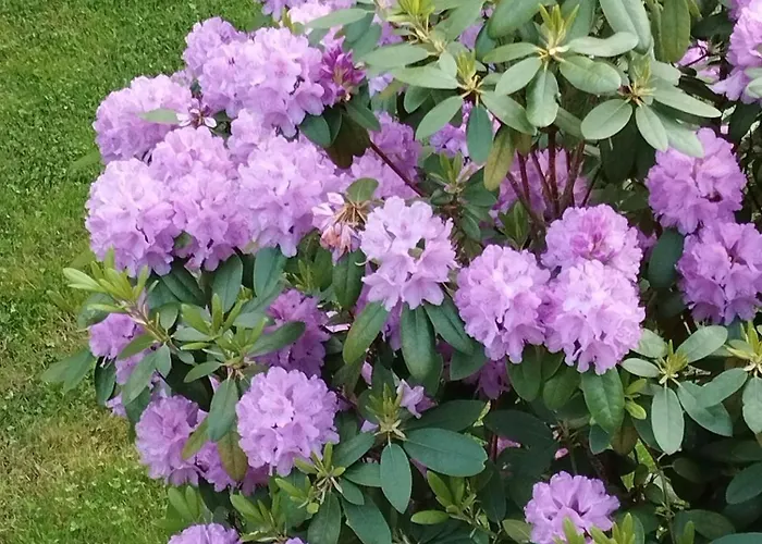 Forellenwasser * Rosenthal-Bielatal