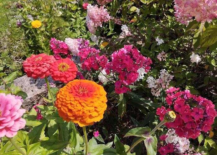 Апартаменты Forellenwasser *