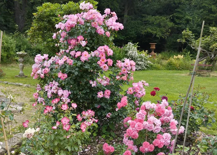 Апартаменты Forellenwasser *